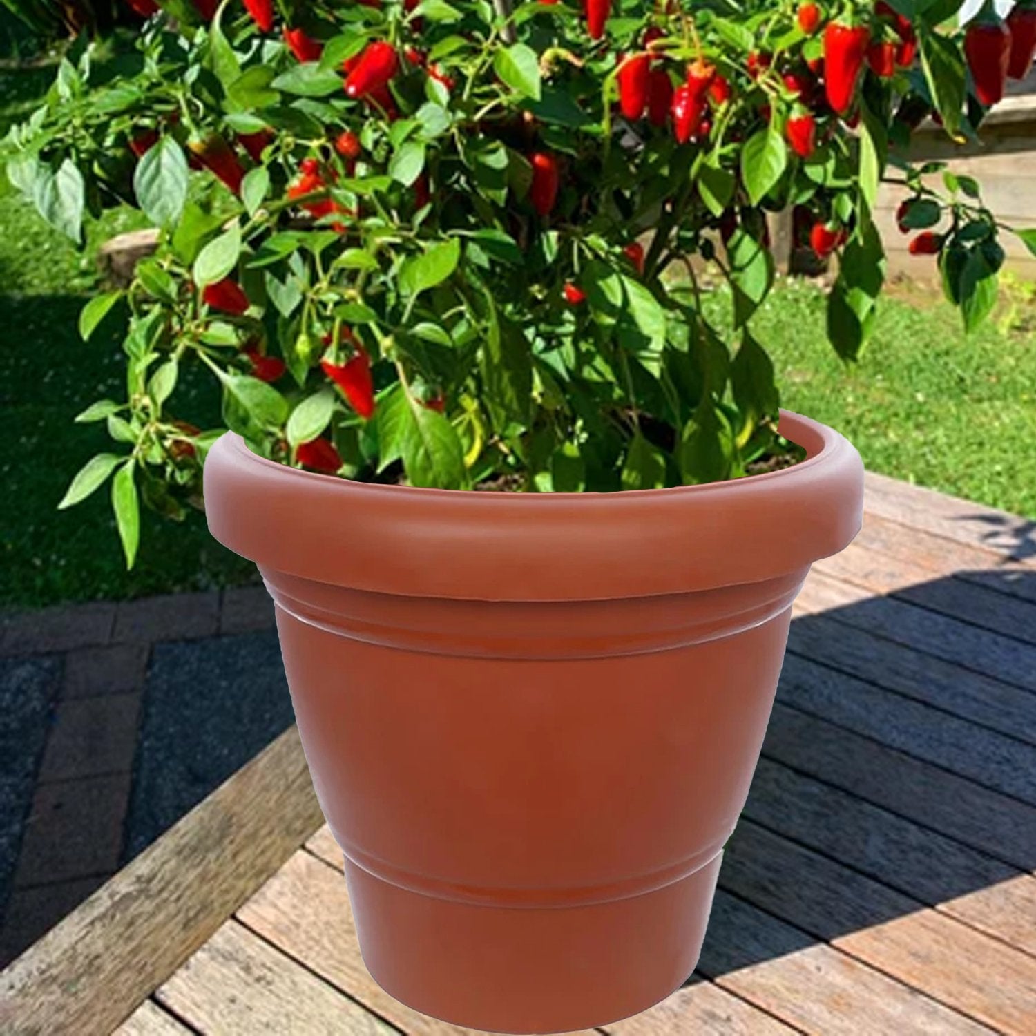 0839 Garden Heavy Plastic Planter Pot/Gamla 6 inch (Brown, Pack of 1, Small) - SkyShopy 0839 Garden Heavy Plastic Planter Pot/Gamla 6 inch (Brown, Pack of 1, Small) - SkyShopy